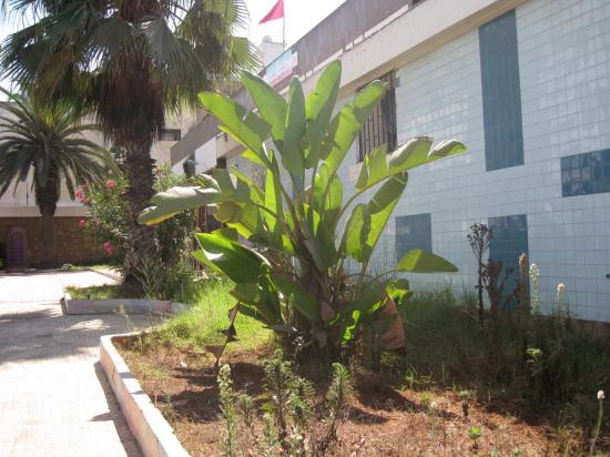 img-1935.jpg